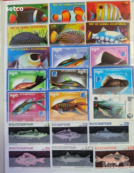 39 броя марки тема Фауна - Риби , Земноводни, снимка 1