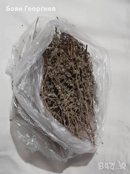 Мента Сух Цвят Чай, снимка 1