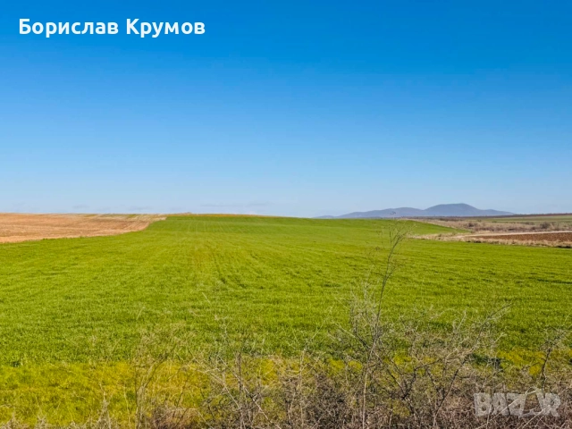 Търся ЗЕМЕДЕЛСКА ЗЕМЯ за купуване и арендоване в района на с. Орлов дол, с. Владимирово, с. Главан, снимка 2 - Земеделска земя - 51291031