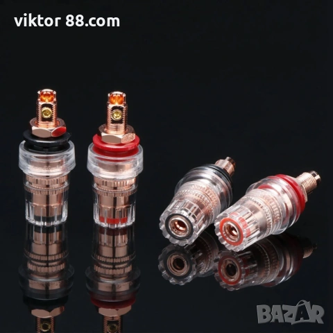 Banana Terminals – №20