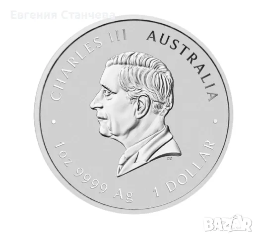 инвестиционна монета сребро сребърна лунар змия 2025, снимка 2 - Нумизматика и бонистика - 48460125