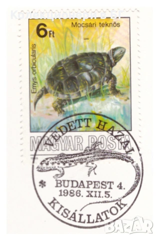 100 ФОРИНТА 1985 ГОДИНА В НУМИЗМАТИЧЕН ПЛИК (NUMISBRIEF), снимка 4 - Нумизматика и бонистика - 53063614