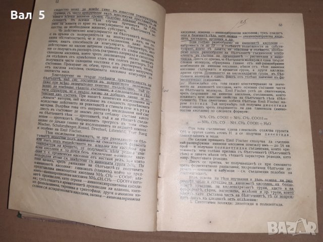 Стар учебник Обща биология проф Методи Попов 1934 г, снимка 2 - Специализирана литература - 33026529