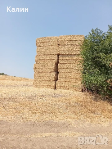 продавам Бали сено цена 8 лв.,бали слама,рола царевичак, снимка 3 - Други - 43155951