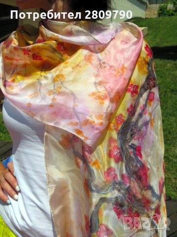 Sakura Blossoms / Цветущая Сакура / Цъфти Сакура / Sakura-Blüten