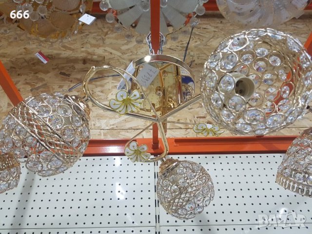 Полилей, снимка 3 - Полилеи - 39634845