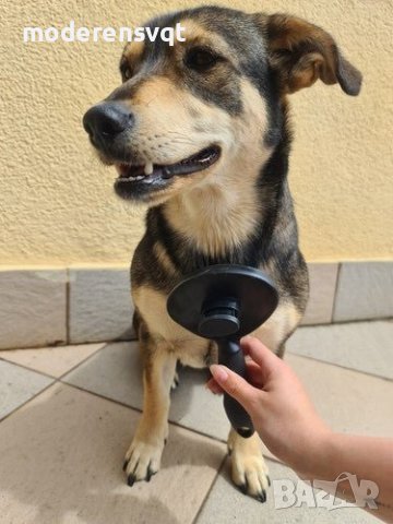 Самозалепваща се четка за домашни любимци, снимка 3 - За кучета - 43780953