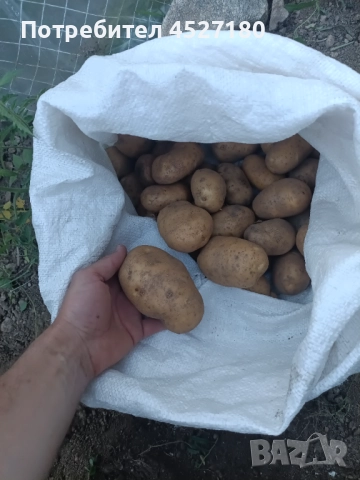 Родопски Картофи пататос компир