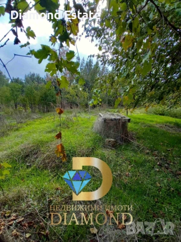 Двуетажна къща в село Трънково, общ. Раднево, снимка 10 - Къщи - 52085304