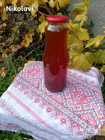 Домашен сироп от диви шипки с разреждане , снимка 4 - Домашни продукти - 53135711