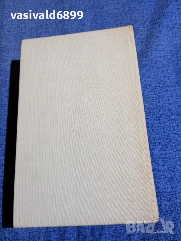 Джойс Оутс - Белфльор , снимка 3 - Художествена литература - 52806633