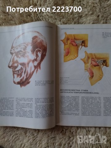 Албум - учебник за художествени училища , снимка 5 - Художествена литература - 43734471