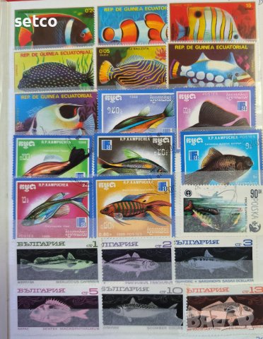 39 броя марки тема Фауна - Риби , Земноводни, снимка 1 - Филателия - 43580596