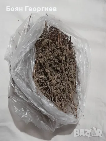 Мента Сух Цвят Чай