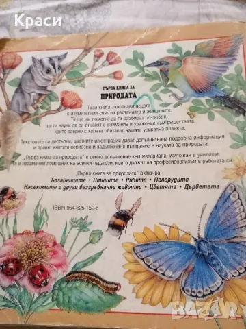 детска образователна книга , снимка 2 - Художествена литература - 48525092