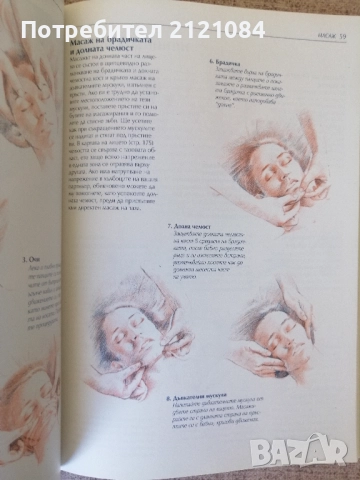  Масаж: Пълно ръководство за източни и западни масажни техники, снимка 4 - Специализирана литература - 51644111