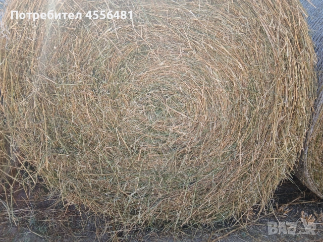 Ролонни бали люцерна