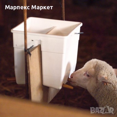 Кофа за агнета и ярета с две разделения - 11 литра, снимка 2 - Овце - 43651778