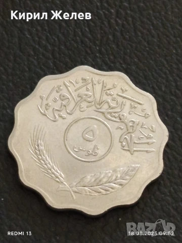 Две монети 5 филса 1971г. Ирак / 100 дирхама 1975г. Либия за КОЛЕКЦИЯ 16261, снимка 3 - Нумизматика и бонистика - 51399741