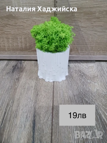 Декоративни кашпи с естествен скандинавски мъх, снимка 8 - Декорация за дома - 51278809