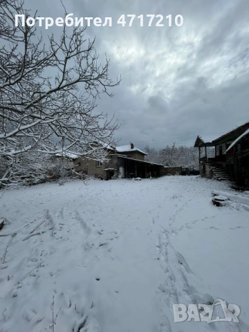 ПРОДАВА имот в с. Бресте, общ. Червен Бряг – 2500 кв.м., ДВЕ КЪЩИ, два двора, снимка 15 - Къщи - 53324328