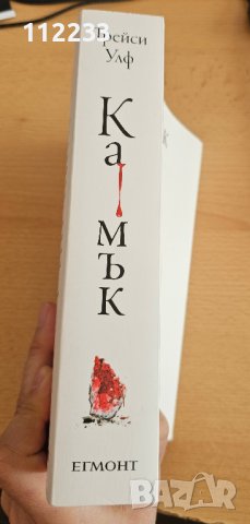 "Камък"- Трейси Улф, снимка 3 - Художествена литература - 43982619