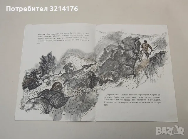Орлово гнездо - Петя Йорданова, снимка 3 - Детски книжки - 48294347