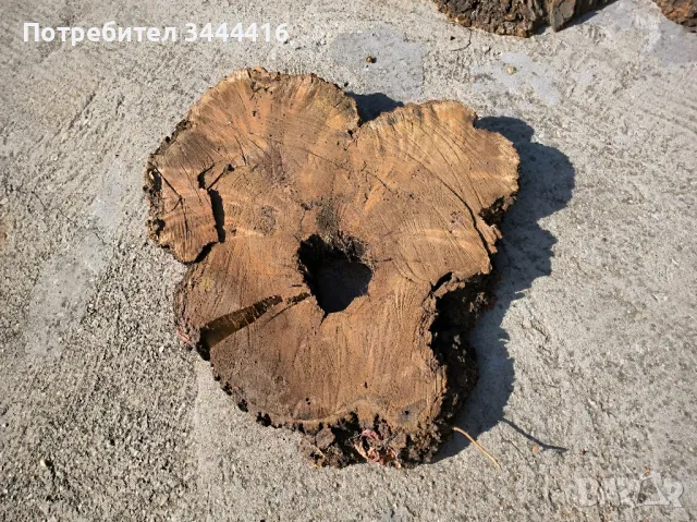 Шайби от черница, снимка 1