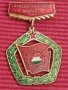 Социалистическа република Унгария, медал за отлична младежка бригада , снимка 1
