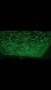 Фосфорна светеща декоративна мазилка - Galaxy Fosfor, снимка 3