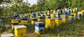 Биологични пчелни отводки и пило с пчели от лицензиран производител По договаряне 