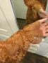 Дамска елегантна рокля дантела , снимка 4