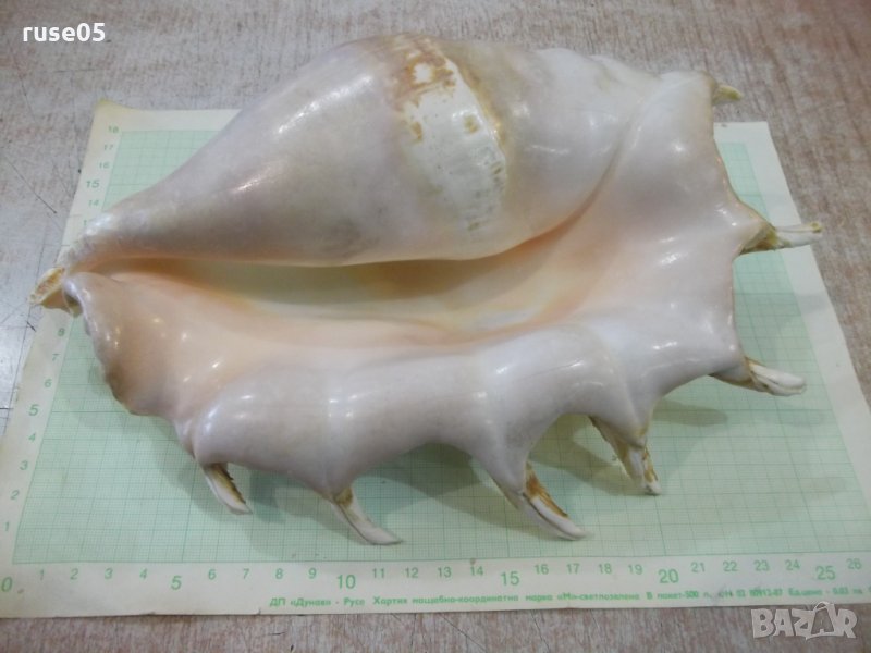 Раковина - 20, снимка 1