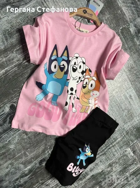 Комплект блуи и бинго Размери-3/4г.4/5г.5/6г.7/8г.9/10г. Цена-25 лв, снимка 1