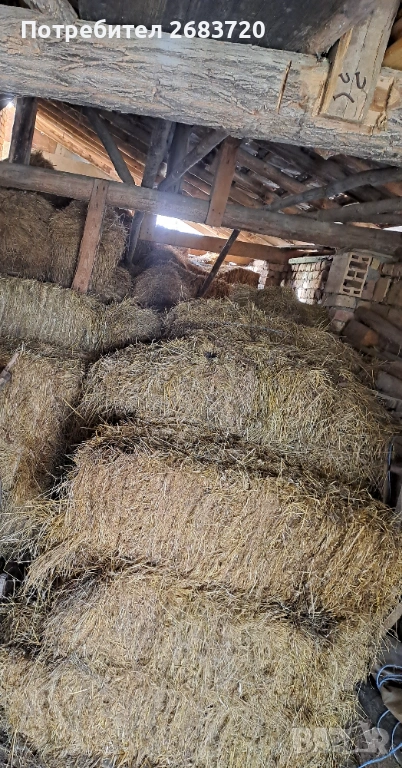 Бали сено 2.60 евро бр., снимка 1
