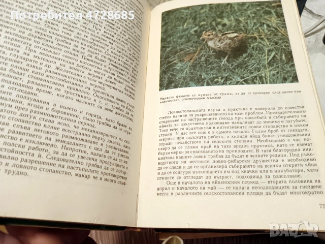 Книга за ловеца и риболовеца – Ради Царев, снимка 4 - Специализирана литература - 53421255