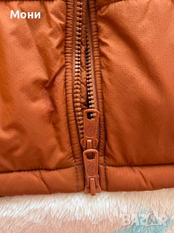 Преходно Яке Dickies, снимка 6 - Якета - 52385976