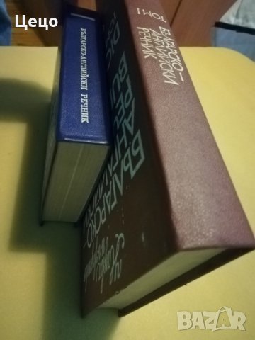 Речници, снимка 2 - Чуждоезиково обучение, речници - 26508230