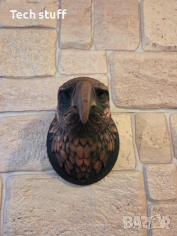 Уникална декоративна глава на орел за стена, снимка 3 - Декорация за дома - 53476934