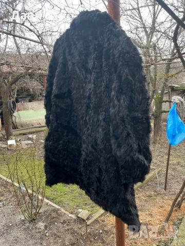 Палто , снимка 3 - Палта, манта - 53384991