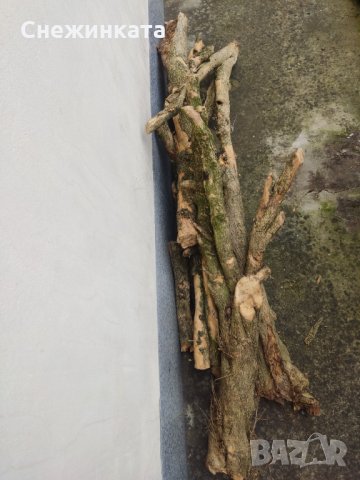 Продавам чемшир- дървен материал (50-150лв/брой), снимка 7 - Други - 34714075