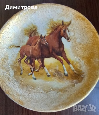 Коне , снимка 5 - Коне - 44118799