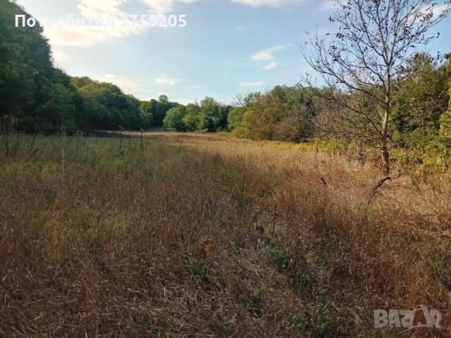 Продавам горска нива 15 дка., снимка 5 - Парцели - 52266192