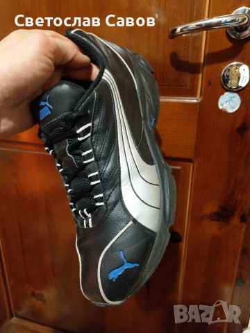 Puma 43нм. 28,0см.