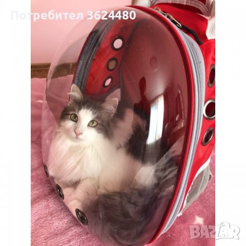 Раница прозрачна капсула носене на кучета или котки, снимка 10 - Други стоки за животни - 40006081