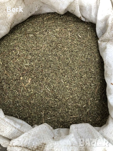 Чубрица реколта 2024, снимка 2 - Домашни продукти - 52600807