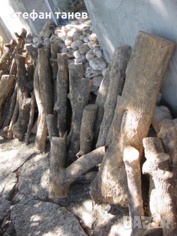 Чемшир - дървен материал за украсна резба, снимка 13 - Антикварни и старинни предмети - 18621658