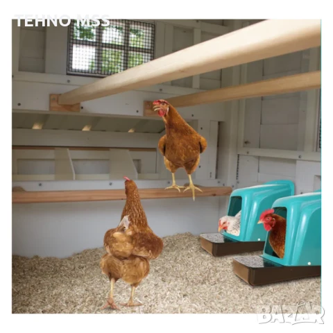 Гнездо, Полог за кокошки с колектор за яйца V3 (К-КТ ОТ 5 БРОЯ), снимка 3 - За птици - 50959124