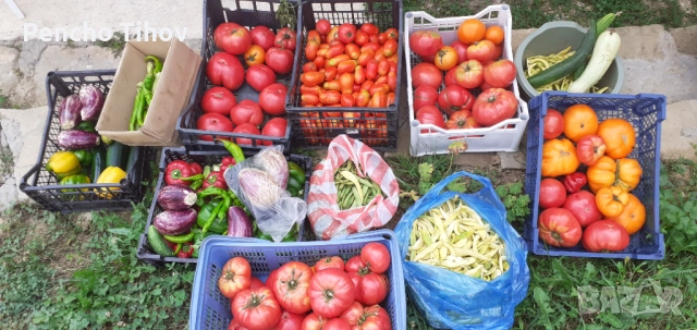 Продавам парцел в регулация и зем. земя в с. Враниловци., снимка 9 - Парцели - 51936556