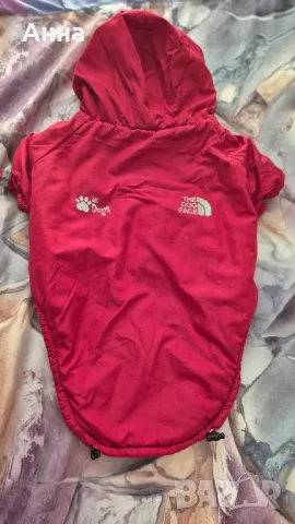 яке за куче, снимка 5 - За кучета - 47495407